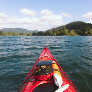 Westhills Langford Lake Foreshore Project and Turtle Habitat Improvement