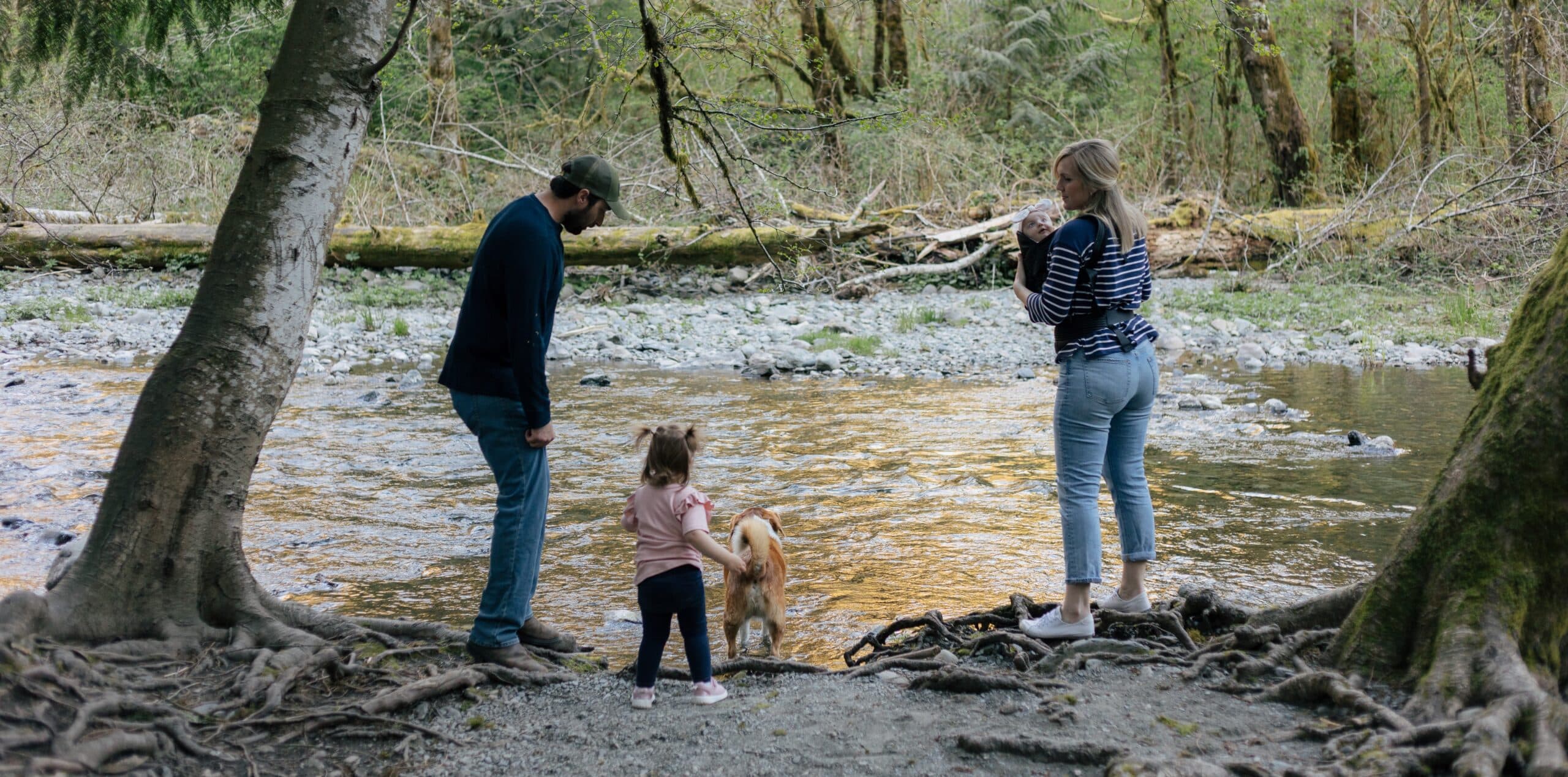 Other Things Happening in the West Shore