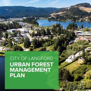 Langford Council approves a robust urban forest management plan