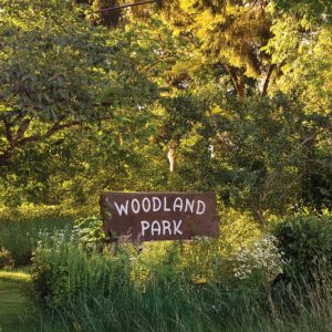 Langford adding over six acres of urban park in its downtown core