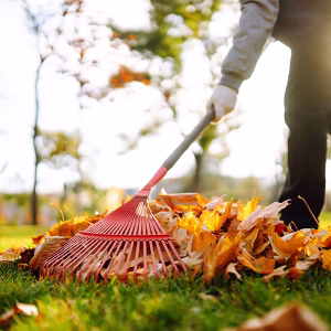 Free Yard Waste Drop-Off This March to Support Wildfire Resiliency in Langford