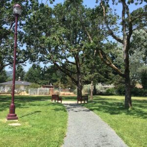 Langford Council Takes Action to Protect 90 Parcels of Green Space for Future Generations